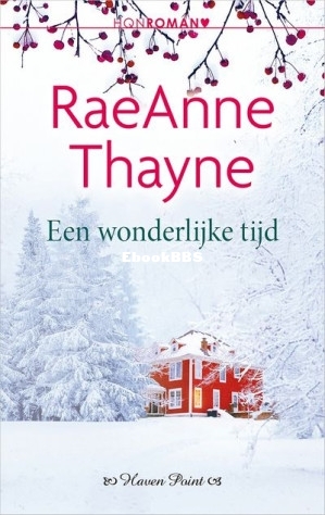Een wonderlijke tijd (Haven Point deel 3).jpg