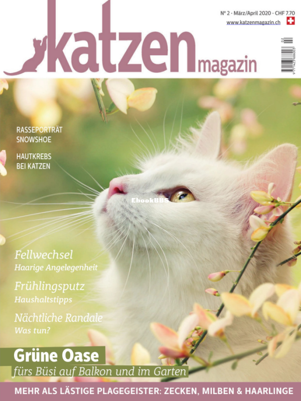Katzen_3-4.20 - 1.png