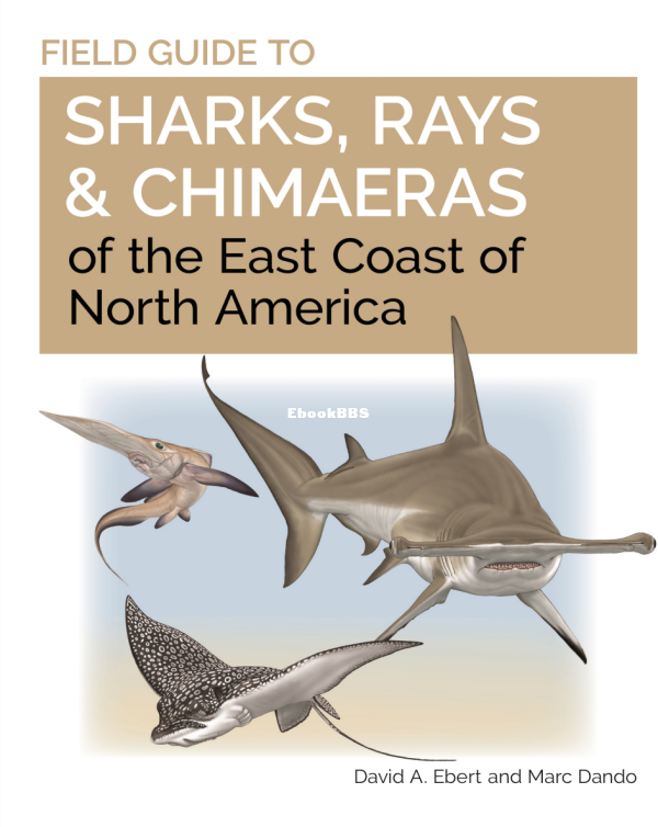 Field_Guide_to_Sharks_Rays_and_Chimaeras_-_David_A_Ebert - 1.png