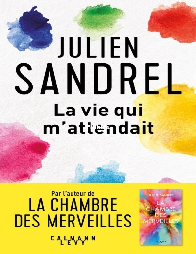La vie qui mattendait (Julien Sandrel) (Z-Library).jpg