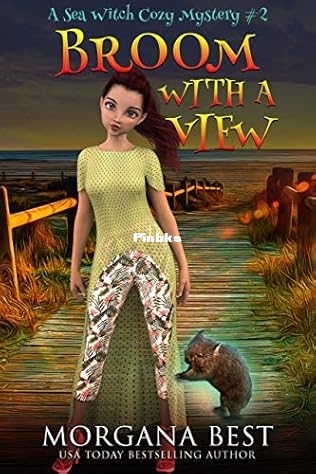 Broom With A View.jpg