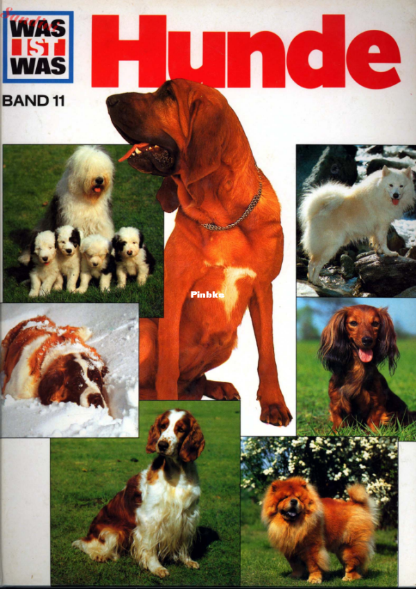 11.Was_ist_Was_-_011_-_Hunde - 1.png