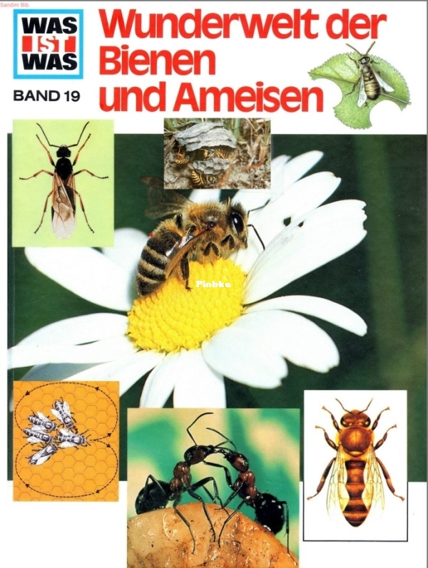 19.Was_ist_Was_-_019_-_Wunderwelt_der_Bienen_und.jpg