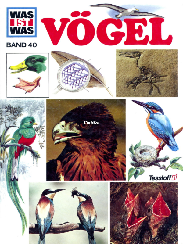 Was_ist_Was_-_040_-_Voegel - 1.png