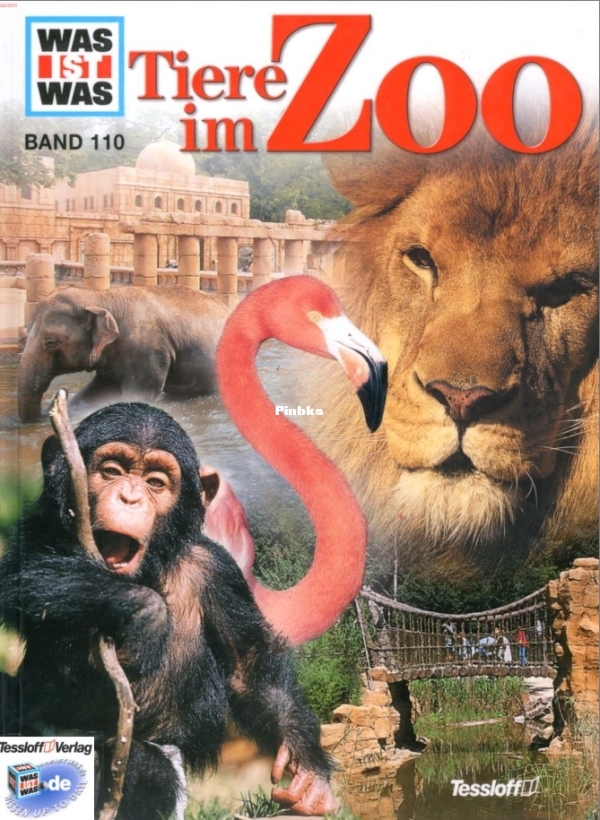 Screenshot 2026-03-13 011502.jpg