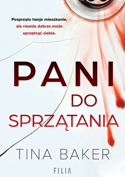 Pani do sprzątania.jpg