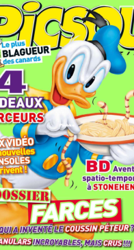 Picsou Magazine 490 - Hachette 2013 - French