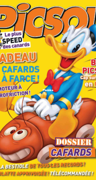Picsou Magazine 497 - Hachette 2013 - French