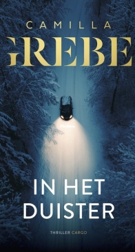 In Het Duister - Peter Lindgren 7 - Camilla Grebe - Dutch