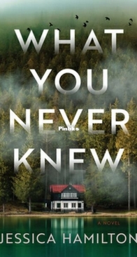 What You Never Knew - Jessica Hamilton - English