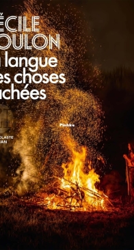 La Langue Des Choses Cachées - Cécile Coulon - French